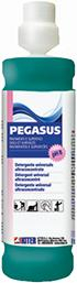 PEGASUS